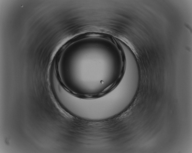 X0000093251128200709261714