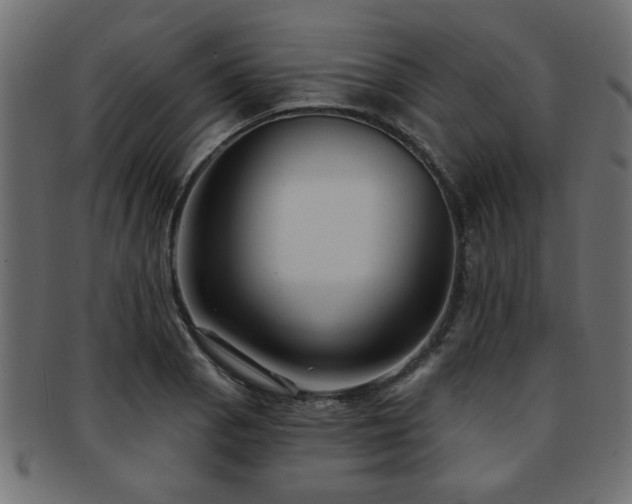 X0000093251129200709261714