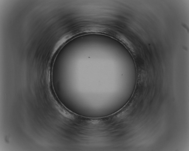 X0000093251130200709261714