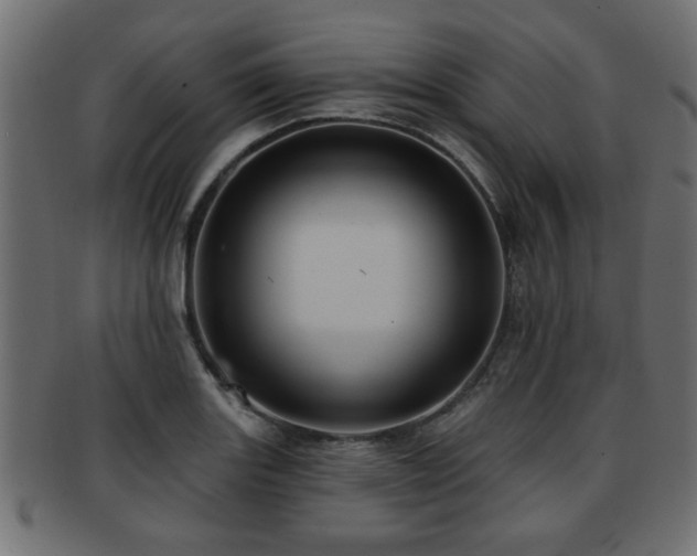 X0000093251131200709261714