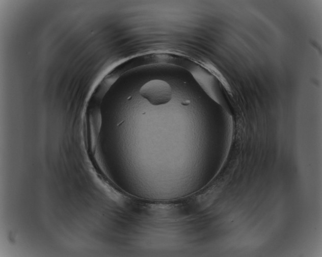 X0000093251132200709261714