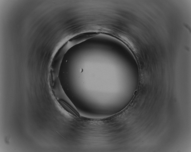 X0000093251136200709261714