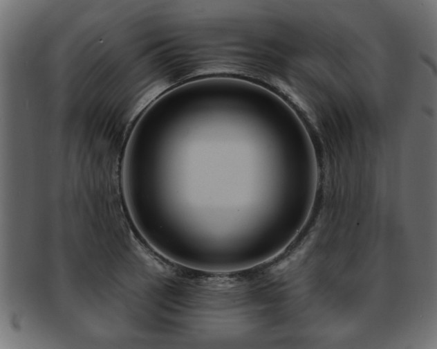 X0000093251137200709261714
