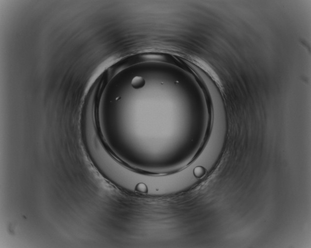 X0000093251138200709261714