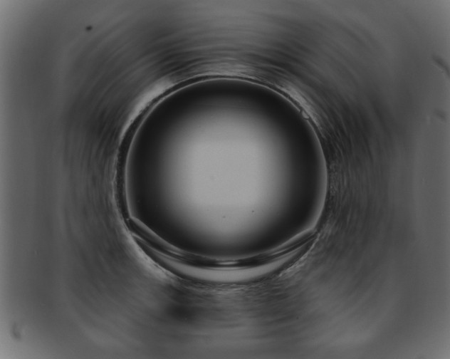 X0000093251139200709261714