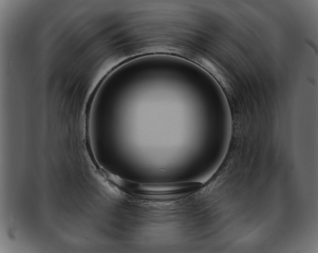 X0000093251140200709261714