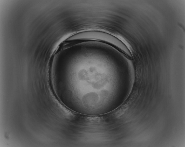 X0000093251142200709261714