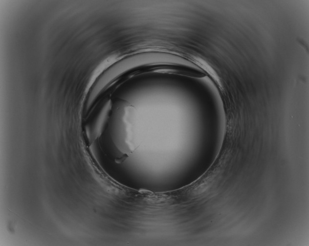X0000093251146200709261714