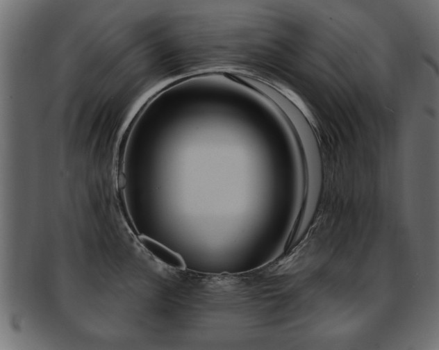 X0000093251148200709261714
