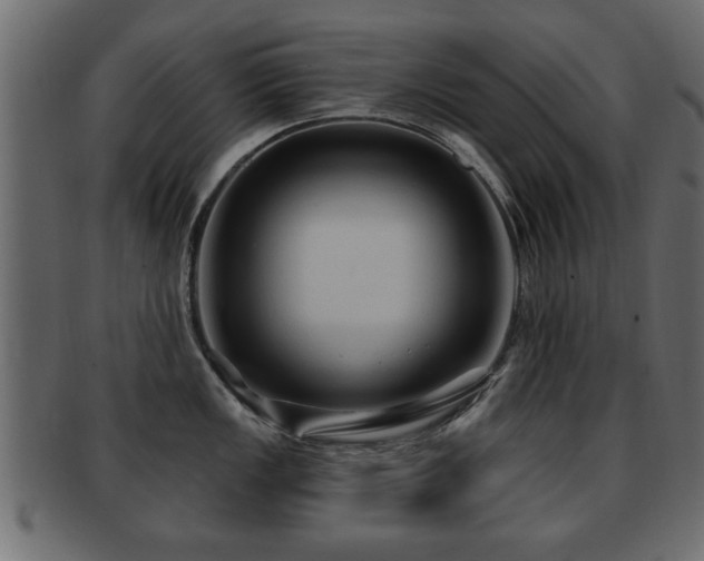 X0000093251149200709261714