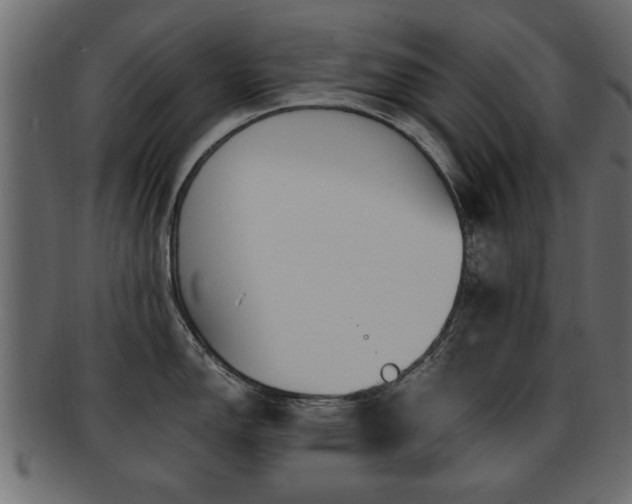 X0000093251150200709261714