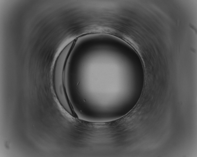 X0000093251152200709261714