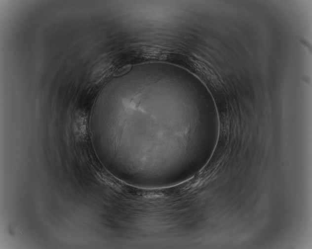 X0000093251154200709261714