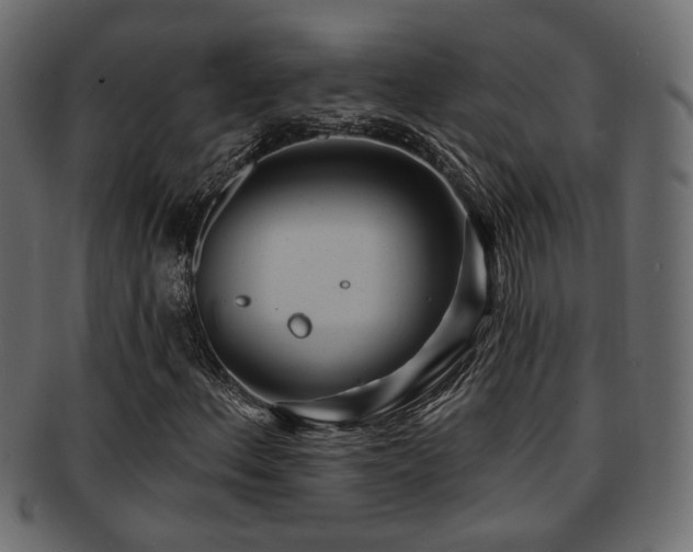 X0000093251156200709261714