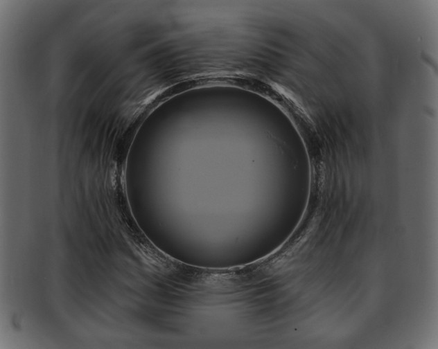 X0000093251161200709261714