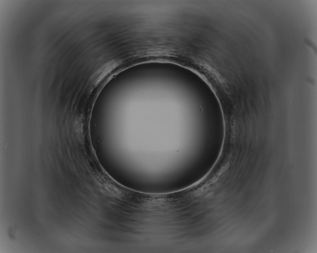 X0000093251162200709261714