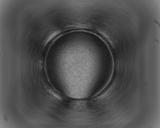 X0000093251163200709261714