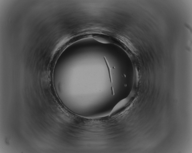 X0000093251164200709261714
