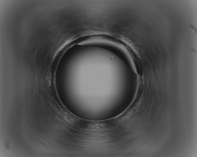 X0000093251165200709261714