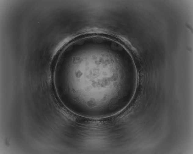 X0000093251167200709261714