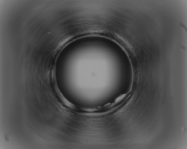 X0000093251169200709261714