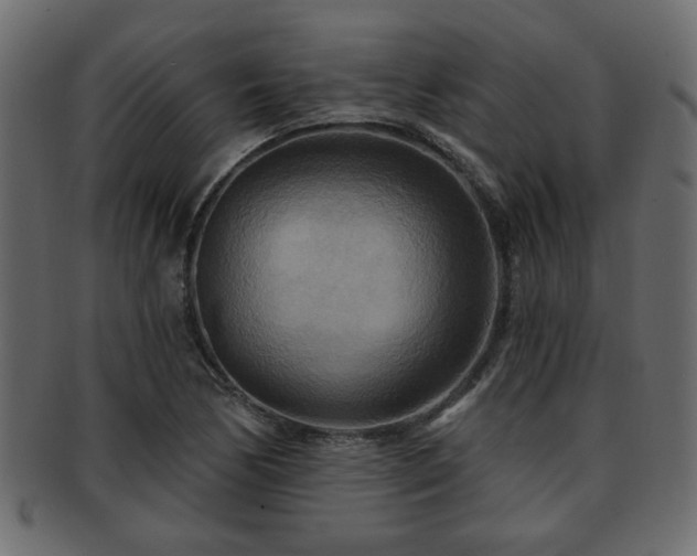 X0000093251170200709261714
