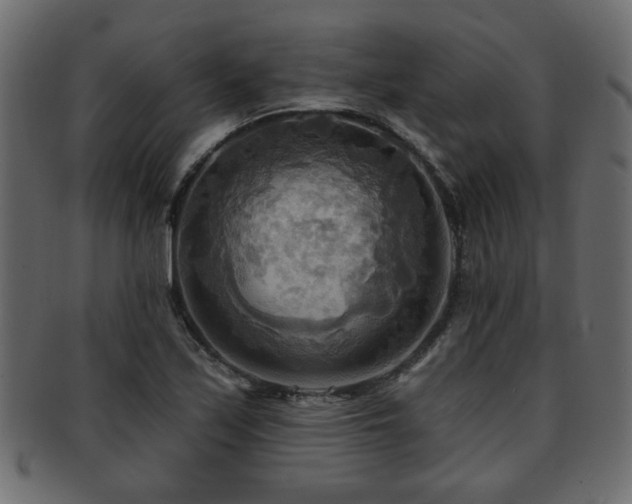 X0000093251171200709261714