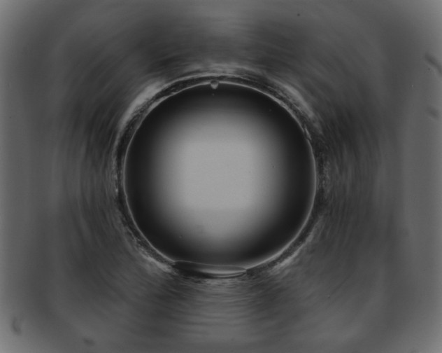 X0000093251172200709261714