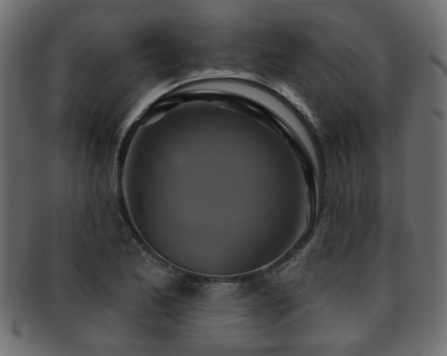 X0000093251173200709261714
