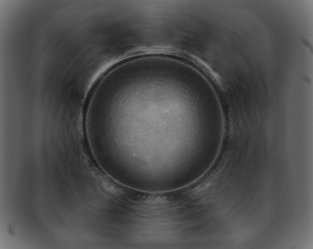 X0000093251174200709261714