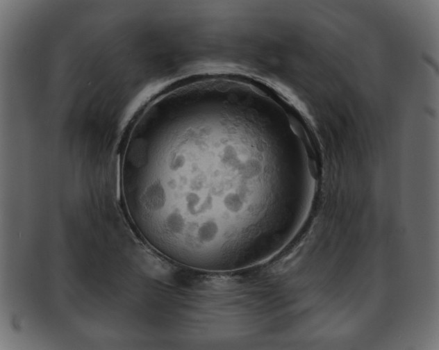 X0000093251175200709261714