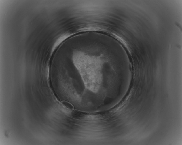 X0000093251179200709261713