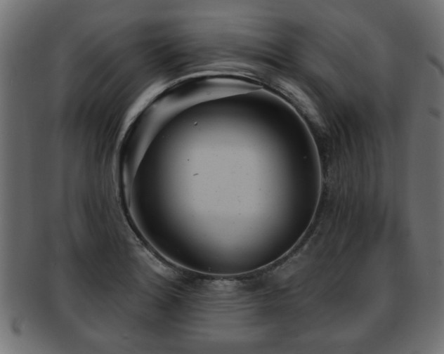 X0000093251180200709261713