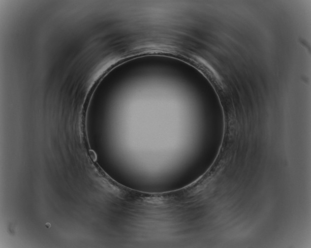 X0000093251182200709261713