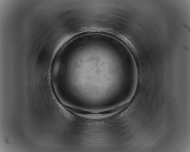 X0000093251183200709261713