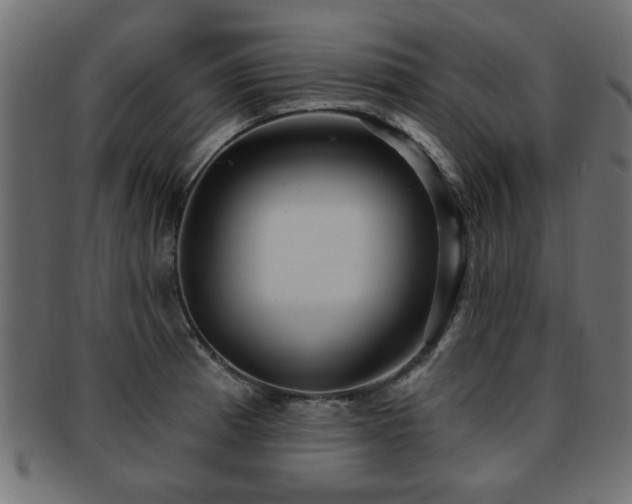 X0000093251185200709261713