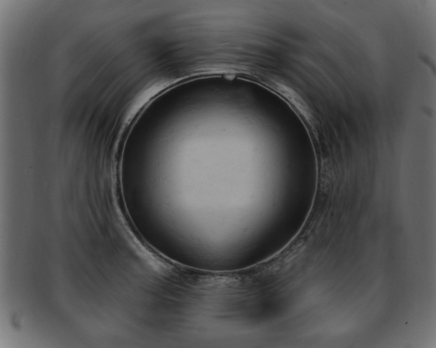 X0000093251187200709261713