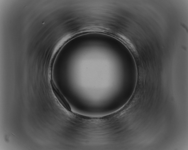 X0000093251188200709261713