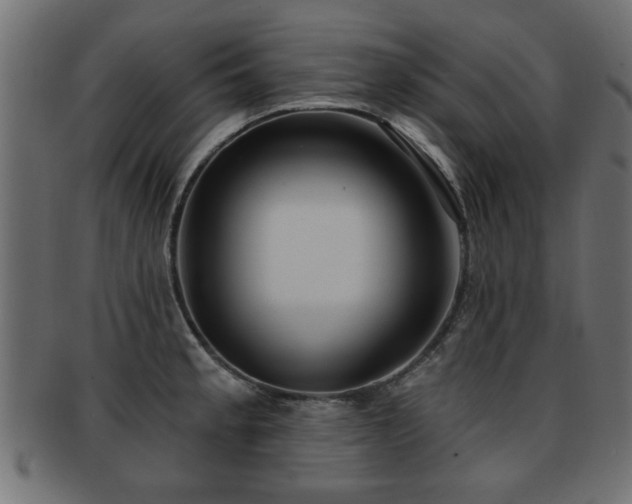 X0000093251189200709261713