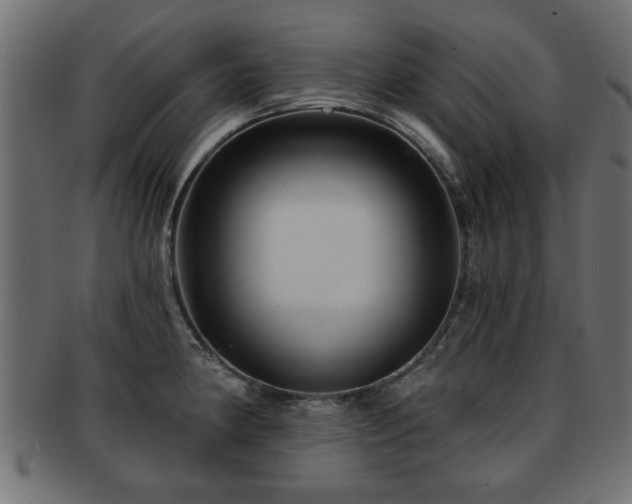 X0000093251190200709261713