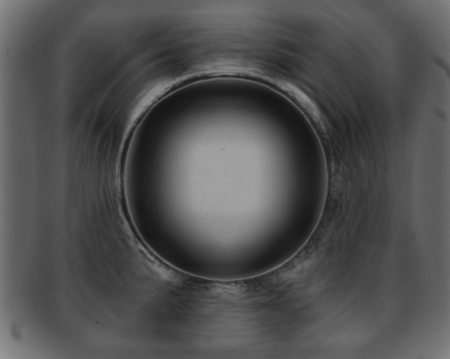 X0000093251191200709261713