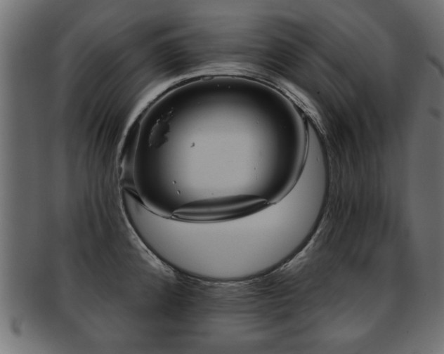 X0000093251192200709261713