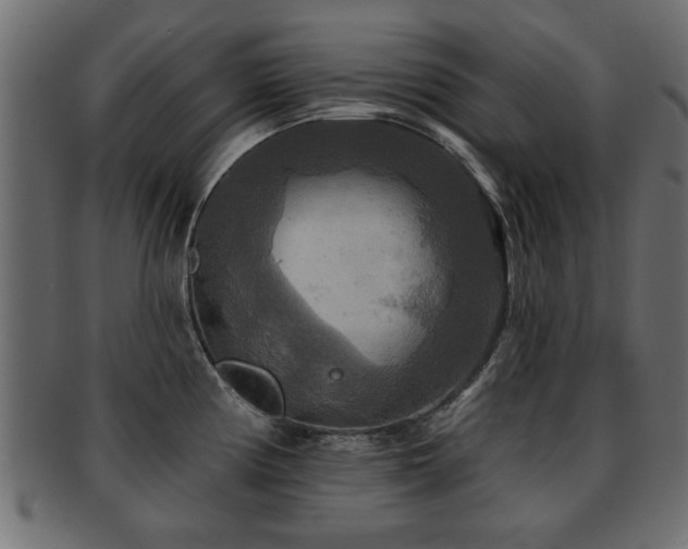 X0000093251194200709261713