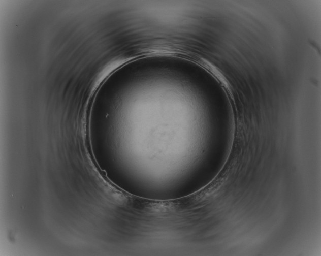 X0000093251195200709261713