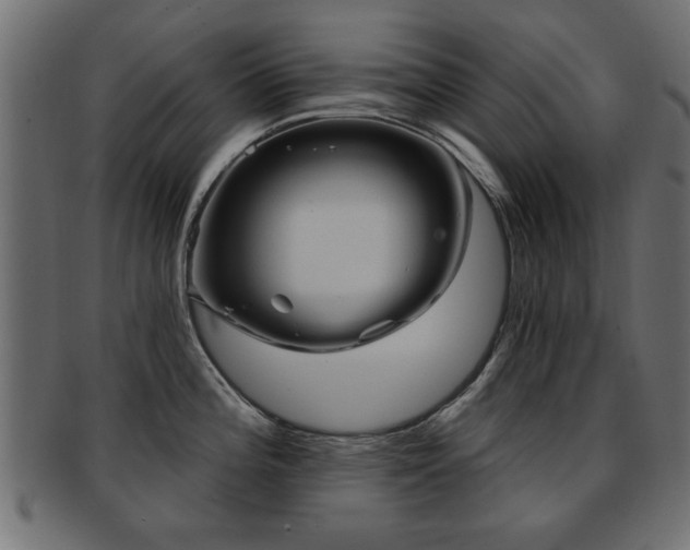 X0000093251196200709261713