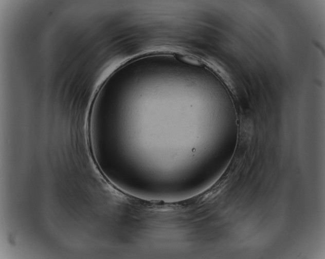 X0000093251199200709261713