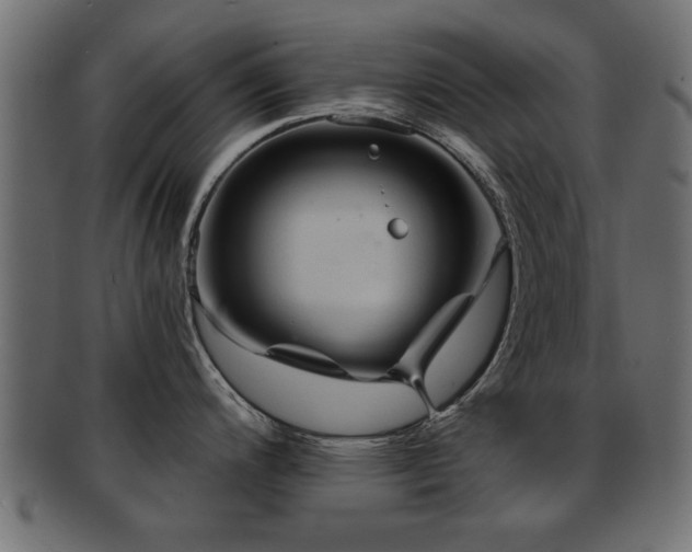 X0000093251200200709261713