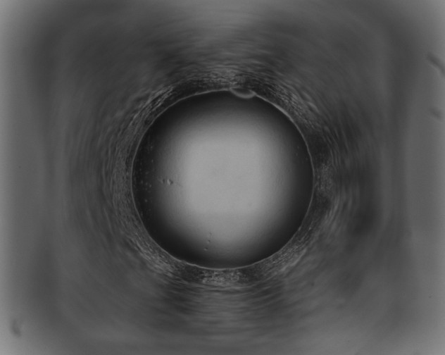 X0000093251201200709261712