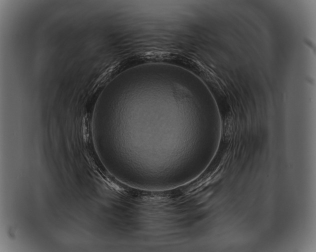 X0000093251202200709261713