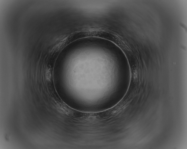X0000093251204200709261713